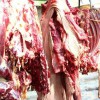 驢肉批發(fā)，驢肉廠家，驢肉，驢肉哪家好，蘭陵驢肉