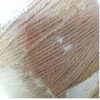 RXRXDLTCS?本廠主要生產(chǎn)環(huán)保專業(yè)工藝紙繩、紙帶，采用木漿紙制做，技術(shù)力量雄厚，生產(chǎn)能力大，工藝新進(jìn)