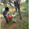 廠家直銷(xiāo)新款立盈小型手持式 挖樹(shù)機(jī)