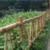 新農村建設用不銹鋼竹籬笆景觀園藝護欄庭院圍欄柵欄竹節護欄