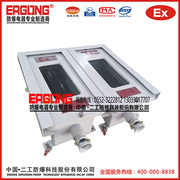 防爆探測(cè)器10