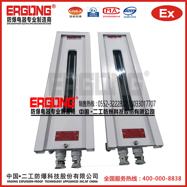 防爆探測(cè)器13