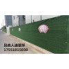 江蘇貝森人造草坪，圍擋草坪，裝飾草坪，園林草坪，幼兒園草坪，足球場(chǎng)草坪