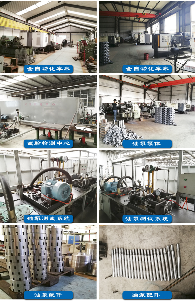 導熱油泵 批發 導熱油循環泵 廠家直銷 高溫離心泵示例圖20