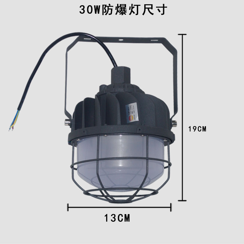 綠鯨無火花LED防爆燈30W