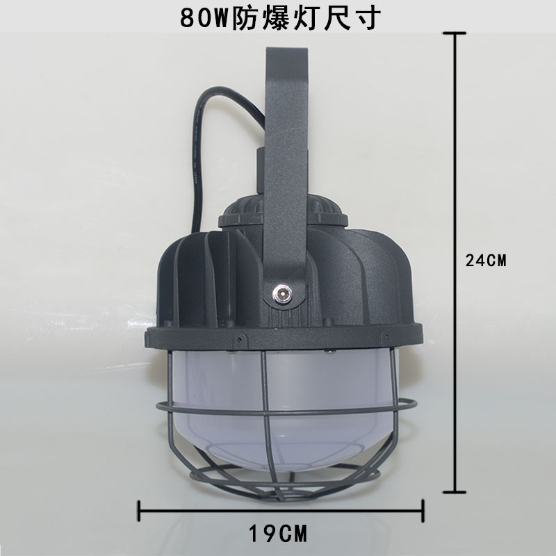 綠鯨無火花LED防爆燈80W