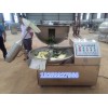食品斬拌機生產廠家 高速變頻斬拌機價格