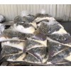 批發(fā)供應無錫橡膠混練用低熔點投料袋,低熔點塑料袋