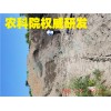 返利30寧波綠寶廠家生產(chǎn)渣土回填、臺州黃土再生二次 紹興固化黃土、寧波路液技術(shù)、舟山路液代替砂石