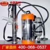 背負(fù)式脈沖氣壓噴霧水槍