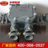BHD礦用隔爆型母線盒生產廠家