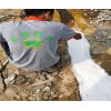 惠州廠房漏水找專業(yè)防水補漏公司有哪些