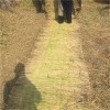 稻夫 公路草苫 養(yǎng)護(hù)草簾 草簾 生產(chǎn)廠家 整車發(fā)貨