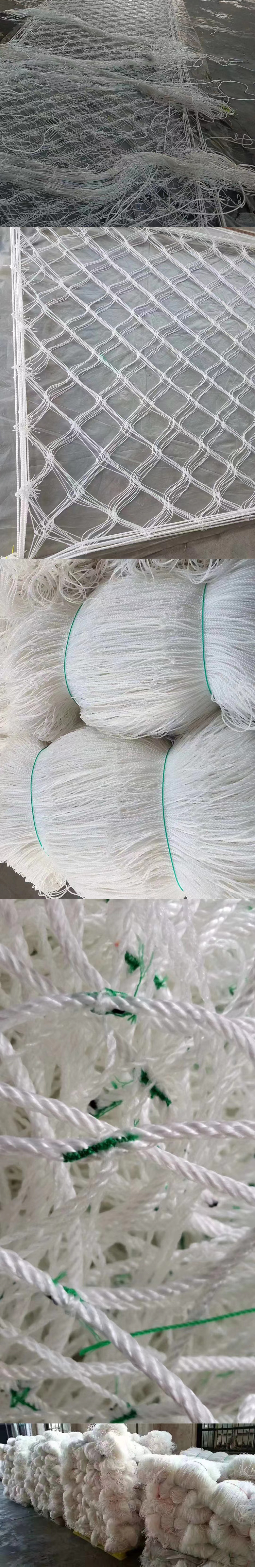 海苔網
